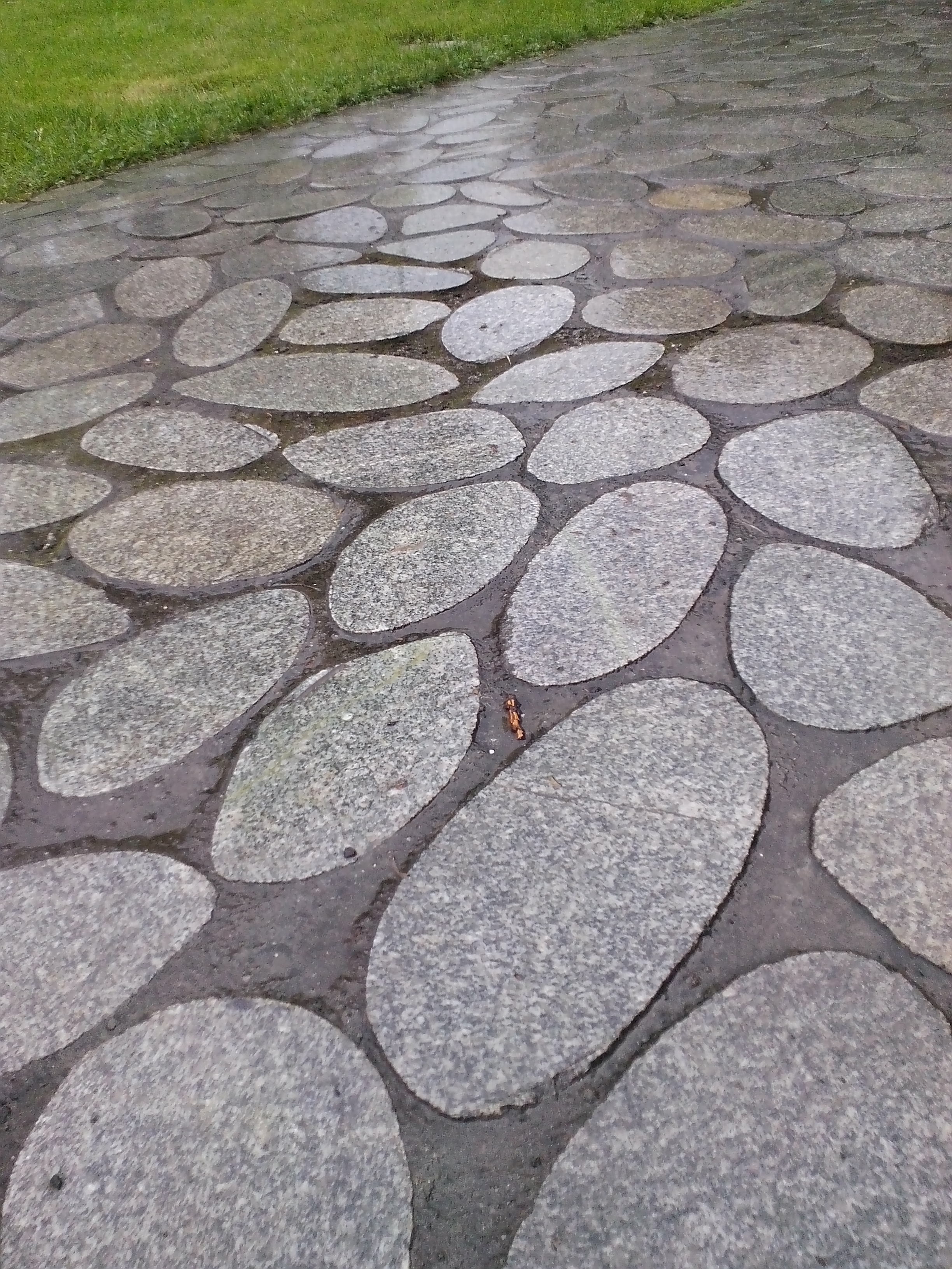 te kamienne płyty bardzo dobrze wyglądają w nowoczesnym ogrodzie, ale są bardzo śliskie